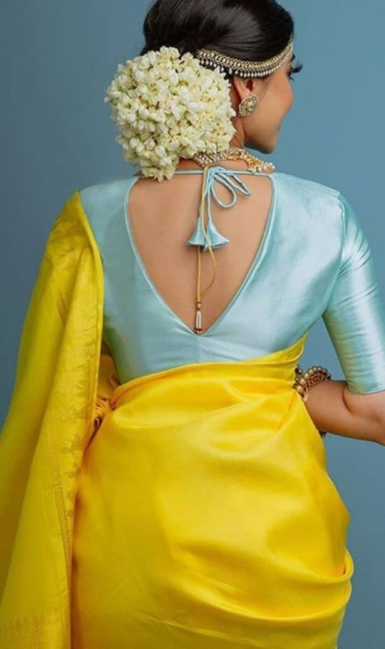 V Neck Modern Princess Cut Blouse Back Designs