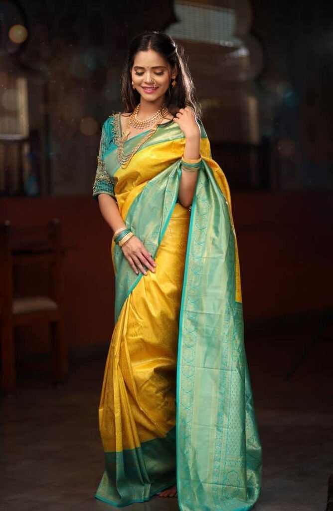 Kanchipuram Silk Saree with Stylish Blouse