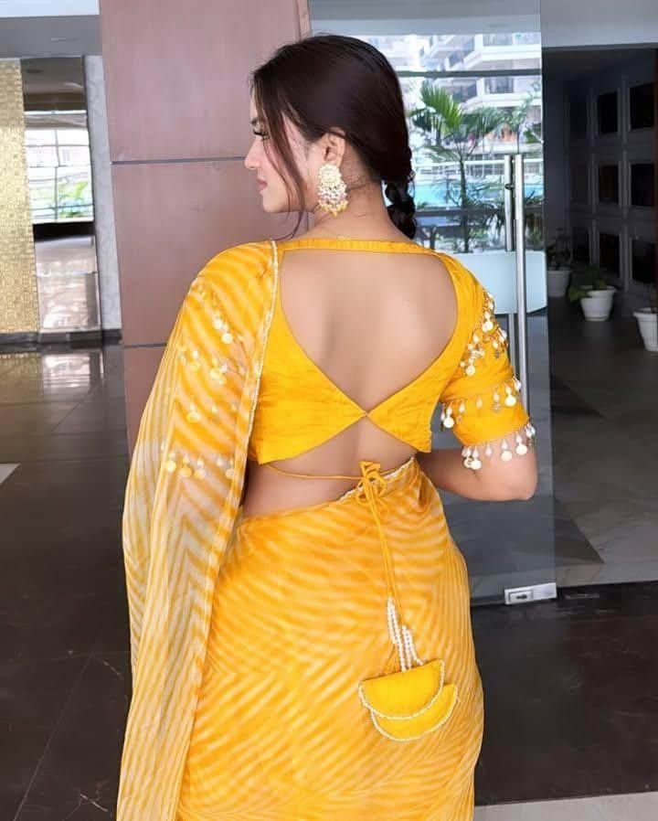 Party Wear Blouse Back Neck Designs