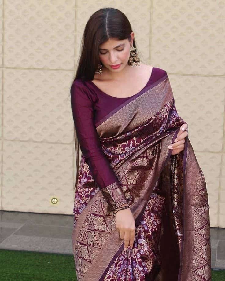 Full Hand Blouse Design