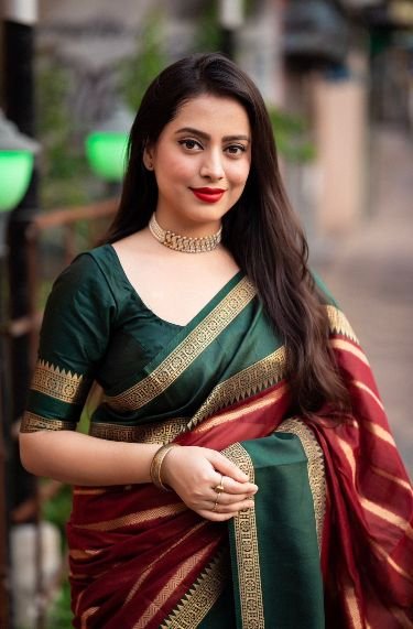 Latest Blouse Designs Border Saree