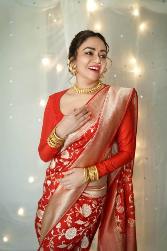 Pattu Saree Modern Banarasi Saree Blouse Design